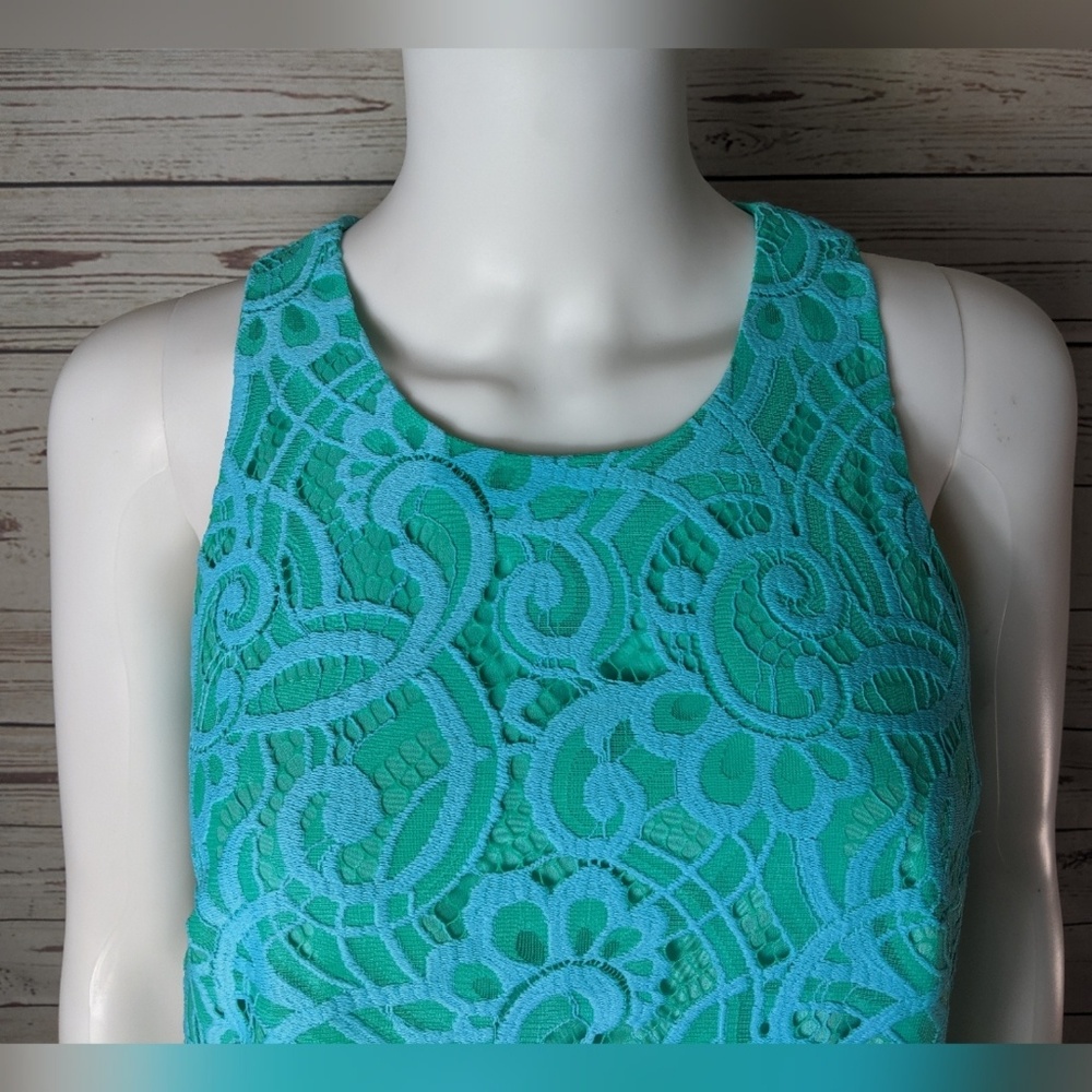 Lilly Pulitzer Courtin Lace Shift Dress - Picture 4 of 8